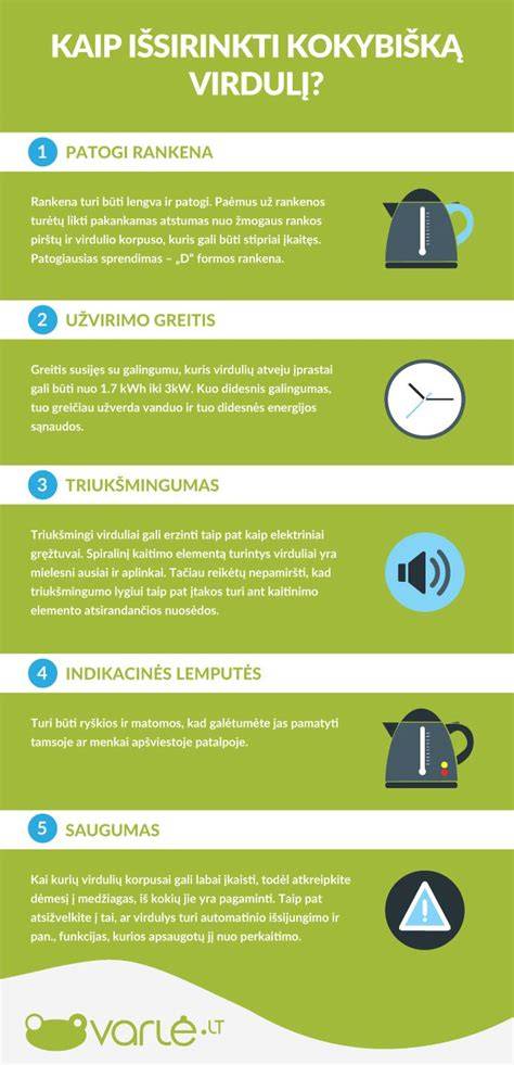 Infografika: Kaip išsirinkti turistinį virdulį (talpa, medžiaga, papildomos dalys)