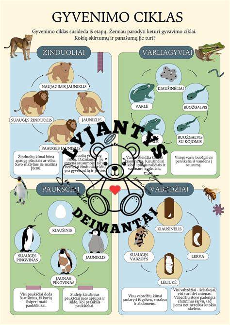 Infografika: bituminės vs. skardinės dangos gyvenimo ciklas