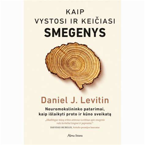 Infografika: kaip vystosi medienos puviniai ir kenkėjų invazijos schema