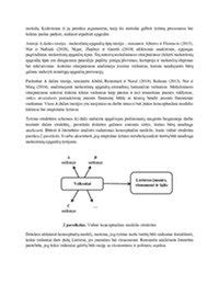 Infografika: sutankėjančio betono struktūrinė schema