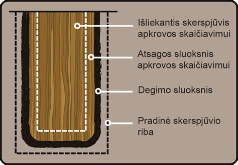Infografika: Medienos degimo savybės, drėgmės įtaka kaloringumui