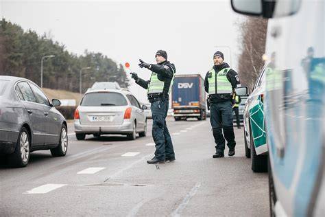 Struktūrinė rąsto dalis: balana, žievė, pluoštas, branduolys
