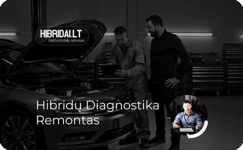 Infografika: paviršiaus įtrūkimų diagnostika ir remontas
