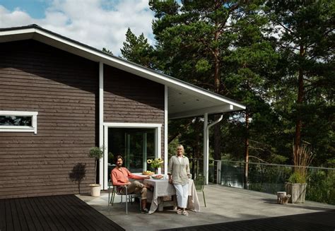 Medinio namo fasado dažymas