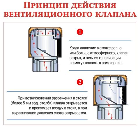 Infografika: PU putų tipai ir jų taikymo sritis