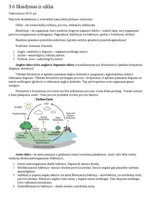 Griovimo ir dezinfekcijos ciklai diagrama