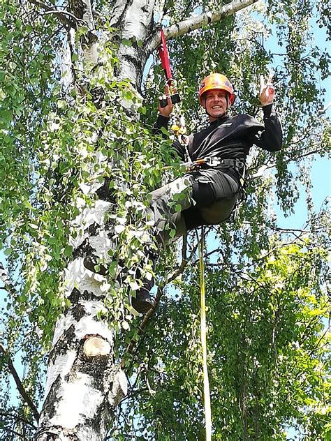 Medžių pjovimas šalia elektros linijų