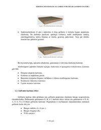Infografika: Skirtingų parketlenčių konstrukcijų palyginimas (dvisluoksnė vs trisluoksnė)