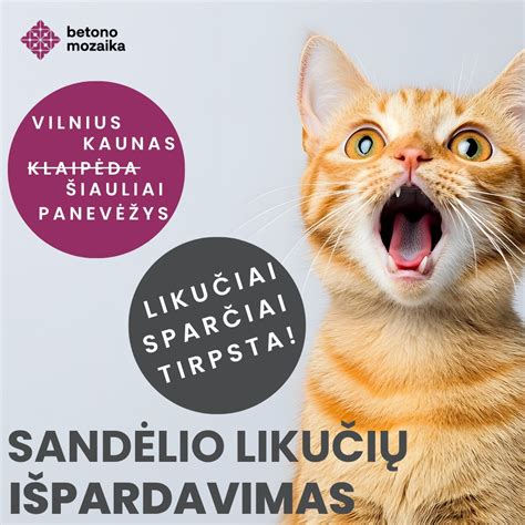 Sandelio_pristatymas_Vilnius