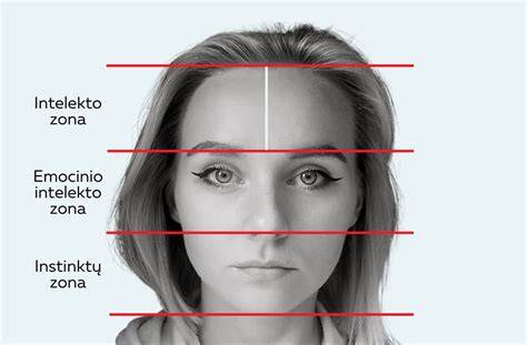 Infografika: Veido kontūravimo zonos ir spalvų schema