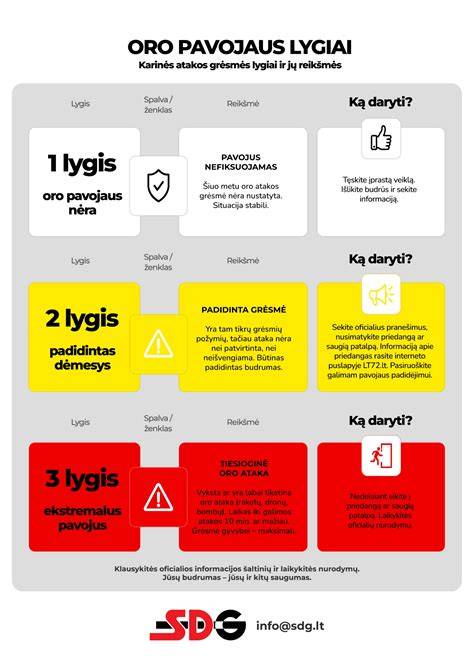 Infografika: Būsto apdailos lygiai ir jų brėžiniai