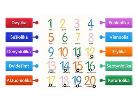 Techniniai skaičiai plokščių išdėstymo diagrama
