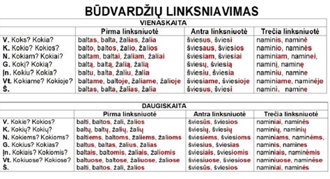 Būdingos dalyvių formos lietuvių kalboje