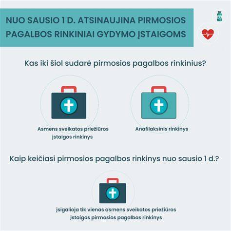 Infografika: Pirmosios pagalbos rinkinio sudėtis ir funkcinės zonos
