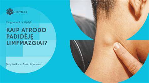 Infografika: kaip atrodo lagių sistema su izoliacija