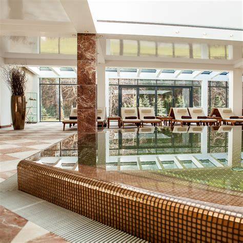 SPA ir baseinų zona grafikas su plytelių paveikslu