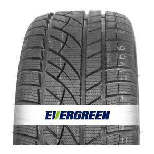 Evergreen EW66 dizaino ir protektoriaus rašto vizualizacija