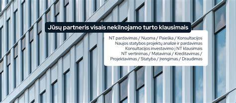 Platformos pasirinkimai ir patikimumas - kamatsių diagrama
