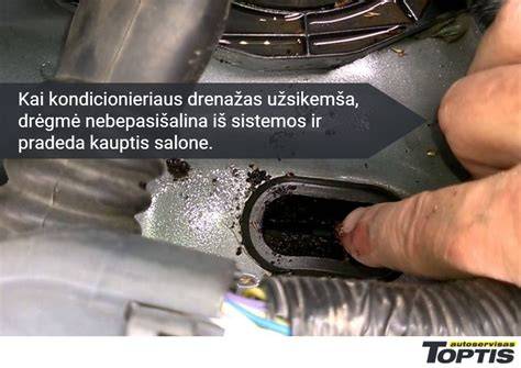 Infografika: kondicionieriaus drenazo sistema ir drenažo komponentai