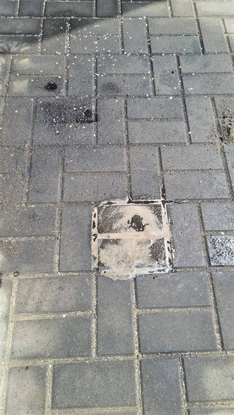 Biologiškai skaidrus naftos valiklis Bio Cleaner 100 paveikslėlis