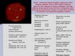 Infografika: spaudytos drožlių plokštės ir jų sandara