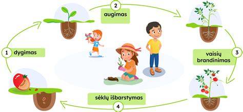 Infografika: Aliuminio profiliai - perdirbimas, naudingo gyvenimo ciklas ir antrinis ciklas