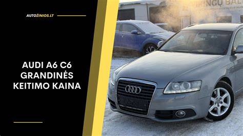 Infografika: Audi A6 C5 platformos sandara ir salonų suderinamumo niuansai