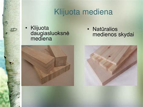 medienos rūšys