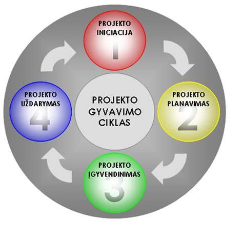LayPLAN projekto gyvavimo ciklo schema