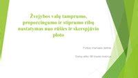 Grafikas: įtampos kritimas ΔU priklausomai nuo skerspjūvio S ir ilgio L