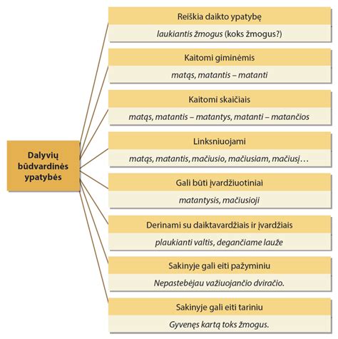 Schema apie veiksmažodžio laikus