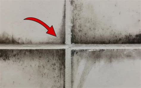 Pelėsis ant vonios plytelių siūlių