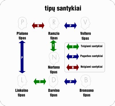 Infigografikos diagrama: slapukų tipų santykiai ir laikotarpiai