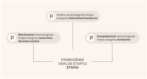 Infografika: USB derinimo įjungimo žingsniai ir įrenginių prijungimo schema