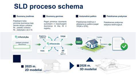 Infografika: teisingas blakstienų nuėmimo išdavimo procesas