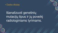 Infografinė schema: debesuotumo tipai ir jų įtaka matomumui