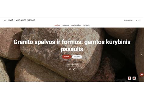 Grafinis vaizdas: granito kino paviršiaus impregnacija