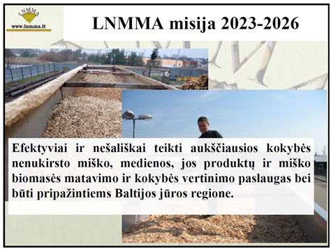 Infografika: Lietuvos nepriklausomų medienos matuotojų asociacijos struktūra