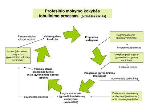 Infografika: impregnavimo procesas ir pagrindiniai metodai
