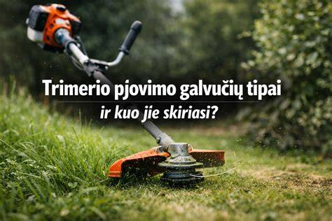 Infografika: Pjovimo įrankių tipai, diskų dydžiai ir pjovimo gyliai