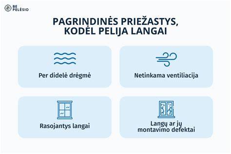 Infografika: Pelėsio atsiradimo priežastys ir prevencijos žingsniai