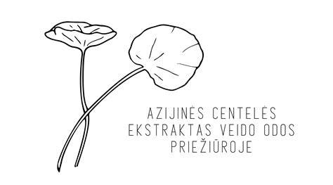 Madagaskaro centelės augalas veido priežiūroje - schemos/infografika