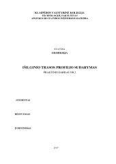 Trasos išilginio profilio pavyzdys su pavilkon肥