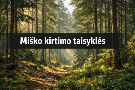 Miško kirtimo ir lentpjūvės proceso iliustracija