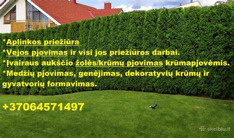 Pirma vejos pjovimo data ir žolės aukščio intervalai