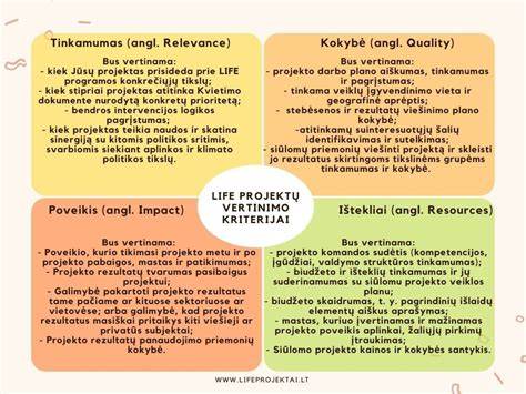 Infografika: Euroklasių apibrėžimas ir vertinimo kriterijai
