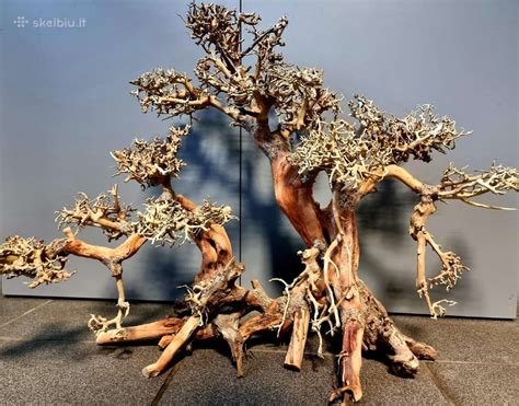 Akvariumo dekoracijos iš akmenų ir medžio