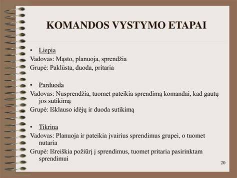 Infografika: vadovavimo pradžios žingsniai ir komandos įsigilinimo etapai