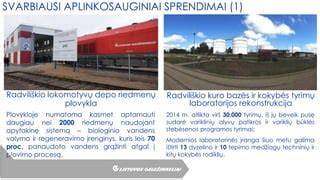 Fasadiniai ir terasiniai alyvų sprendimai