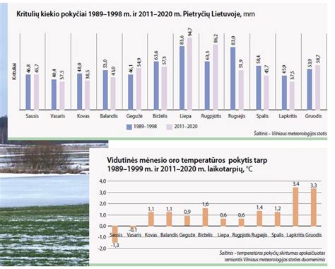 Klimato įtaka fasado pasirinkimui: skalūnas vs. kitos medžiagos